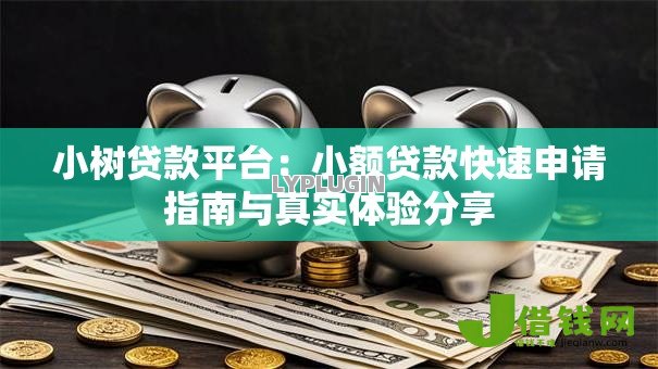 小树贷款平台：小额贷款快速申请指南与真实体验分享