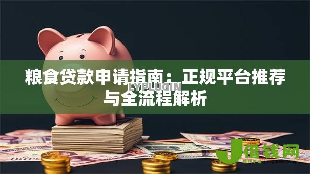 粮食贷款申请指南：正规平台推荐与全流程解析