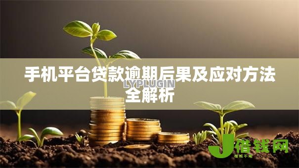 手机平台贷款逾期后果及应对方法全解析