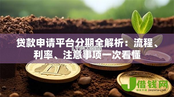 贷款申请平台分期全解析：流程、利率、注意事项一次看懂