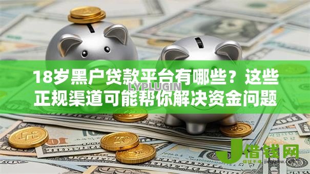 18岁黑户贷款平台有哪些?这些正规渠道可能帮你解决资金问题 18岁黑户贷款平台有哪些?这些正规渠道可能帮你解决资金问题