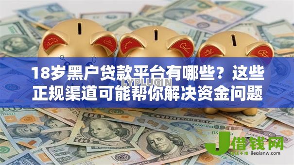 18岁黑户贷款平台有哪些?这些正规渠道可能帮你解决资金问题 18岁黑户贷款平台有哪些?这些正规渠道可能帮你解决资金问题