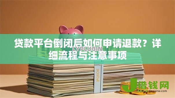 贷款平台倒闭后如何申请退款?详细流程与注意事项 贷款平台倒闭后如何申请退款?详细流程与注意事项
