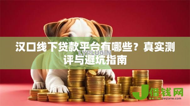 汉口线下贷款平台有哪些？真实测评与避坑指南