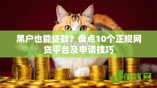 黑户也能贷款？盘点10个正规网贷平台及申请技巧