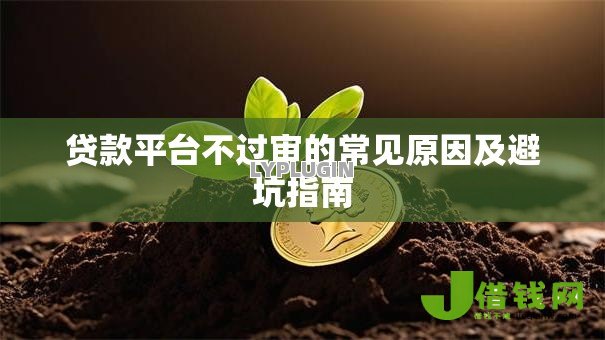 贷款平台不过审的常见原因及避坑指南