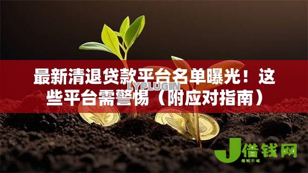 最新清退贷款平台名单曝光！这些平台需警惕（附应对指南）