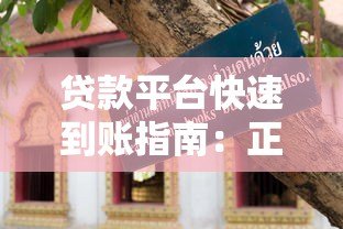 贷款平台快速到账指南:正规渠道与避坑技巧 贷款平台快速到账指南:正规渠道与避坑技巧