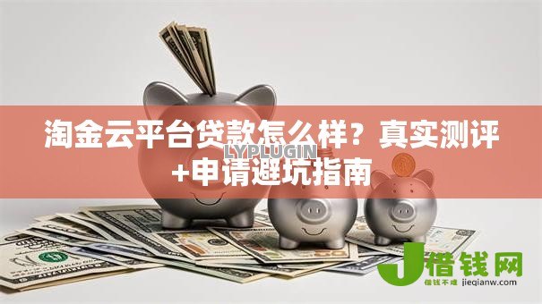 淘金云平台贷款怎么样？真实测评+申请避坑指南