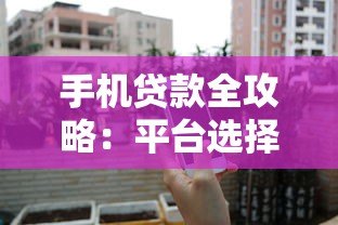 手机贷款全攻略：平台选择与申请流程详解