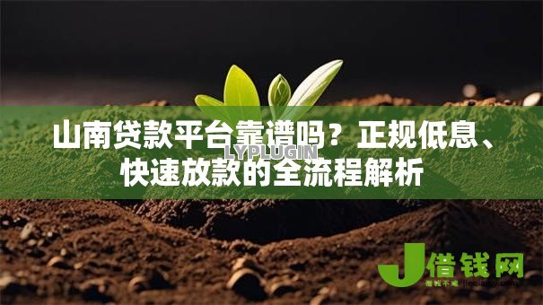 山南贷款平台靠谱吗？正规低息、快速放款的全流程解析