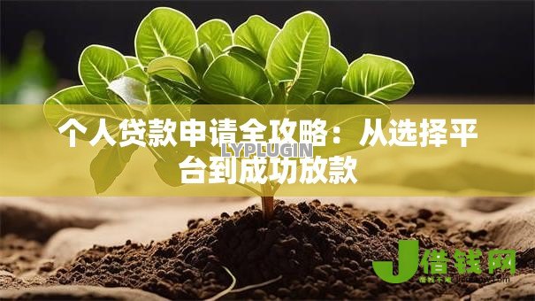 个人贷款申请全攻略：从选择平台到成功放款