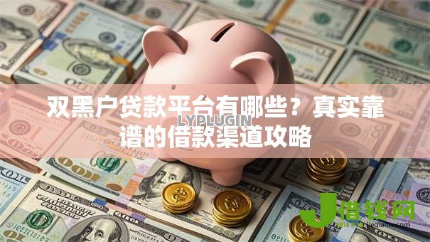 双黑户贷款平台有哪些？真实靠谱的借款渠道攻略