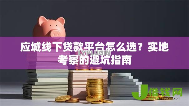 应城线下贷款平台怎么选？实地考察的避坑指南