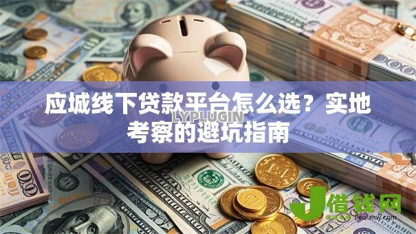 应城线下贷款平台怎么选？实地考察的避坑指南