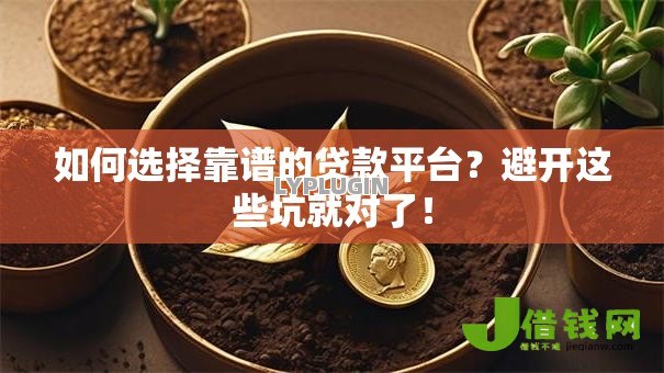 如何选择靠谱的贷款平台?避开这些坑就对了! 如何选择靠谱的贷款平台?避开这些坑就对了!