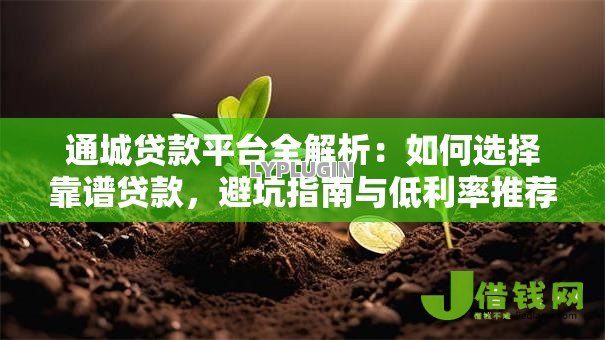 通城贷款平台全解析：如何选择靠谱贷款，避坑指南与低利率推荐