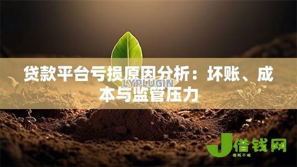 贷款平台亏损原因分析:坏账、成本与监管压力 贷款平台亏损原因分析:坏账、成本与监管压力