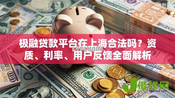 极融贷款平台在上海合法吗？资质、利率、用户反馈全面解析