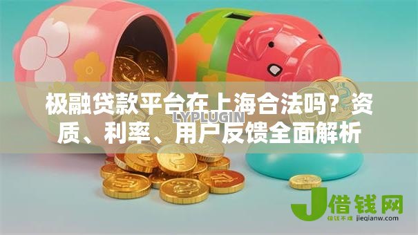 极融贷款平台在上海合法吗？资质、利率、用户反馈全面解析