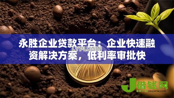 永胜企业贷款平台:企业快速融资解决方案,低利率审批快 永胜企业贷款平台:企业快速融资解决方案,低利率审批快