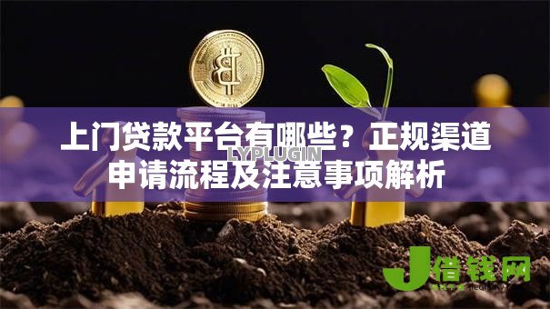 上门贷款平台有哪些?正规渠道申请流程及注意事项解析 上门贷款平台有哪些?正规渠道申请流程及注意事项解析