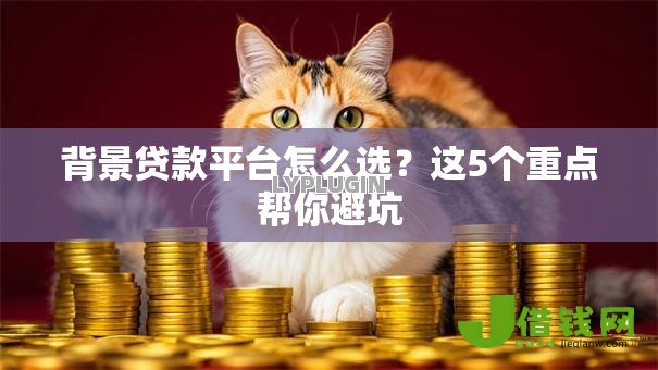 背景贷款平台怎么选?这5个重点帮你避坑 背景贷款平台怎么选?这5个重点帮你避坑