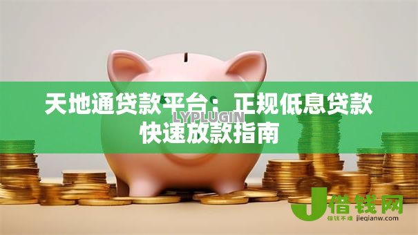 天地通贷款平台:正规低息贷款快速放款指南 天地通贷款平台:正规低息贷款快速放款指南
