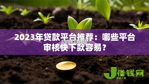 2023年贷款平台推荐：哪些平台审核快下款容易？