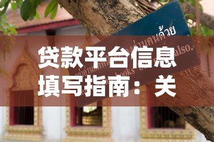 贷款平台信息填写指南：关键要点与避坑技巧