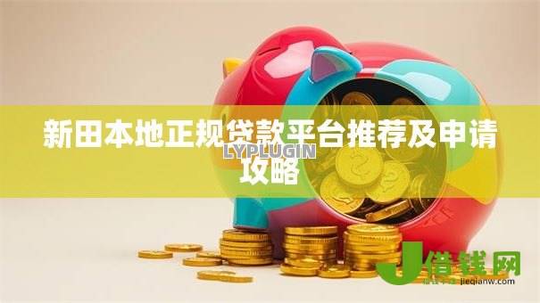 新田本地正规贷款平台推荐及申请攻略