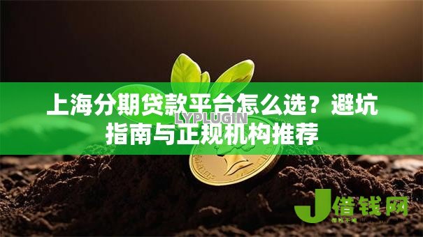 上海分期贷款平台怎么选？避坑指南与正规机构推荐