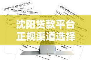 沈阳贷款平台正规渠道选择及申请全攻略 沈阳贷款平台正规渠道选择及申请全攻略