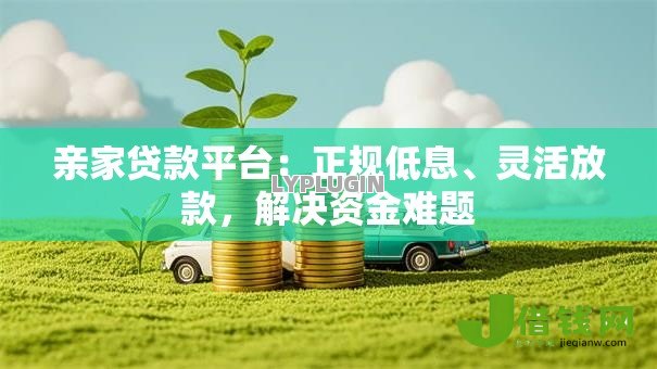亲家贷款平台：正规低息、灵活放款，解决资金难题