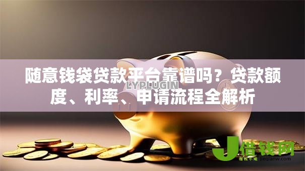 随意钱袋贷款平台靠谱吗？贷款额度、利率、申请流程全解析