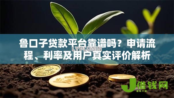鲁口子贷款平台靠谱吗?申请流程、利率及用户真实评价解析 鲁口子贷款平台靠谱吗?申请流程、利率及用户真实评价解析