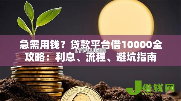 急需用钱？贷款平台借10000全攻略：利息、流程、避坑指南
