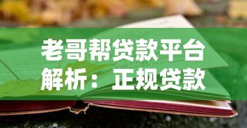 老哥帮贷款平台解析：正规贷款渠道选择与避坑指南