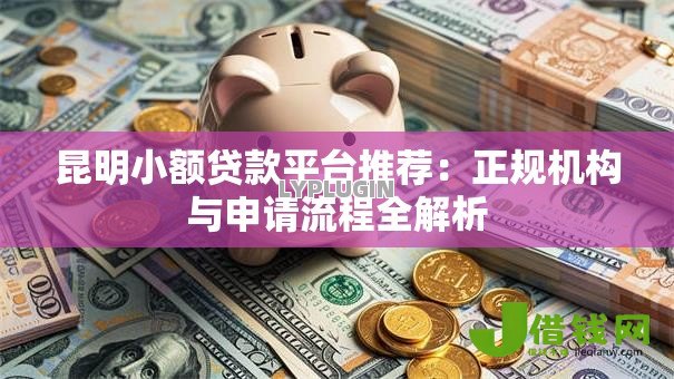 昆明小额贷款平台推荐：正规机构与申请流程全解析