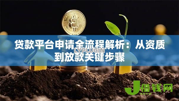 贷款平台申请全流程解析：从资质到放款关键步骤