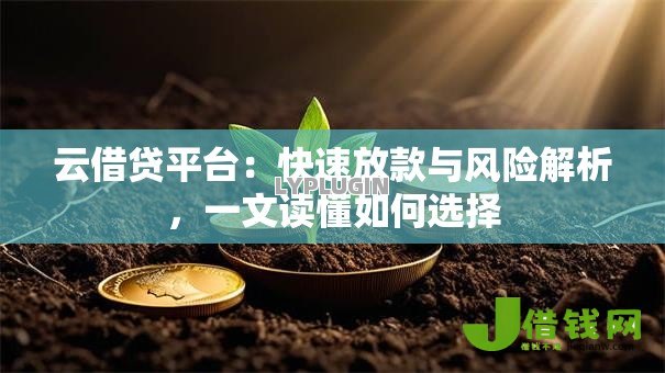云借贷平台：快速放款与风险解析，一文读懂如何选择