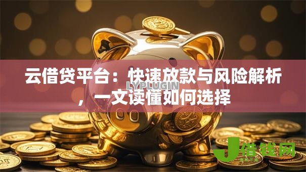 云借贷平台：快速放款与风险解析，一文读懂如何选择