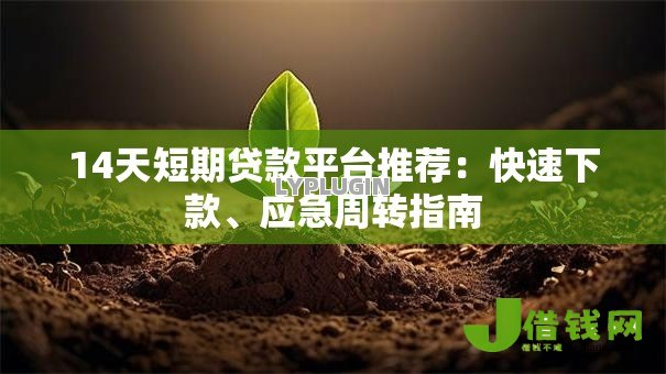 14天短期贷款平台推荐:快速下款、应急周转指南 14天短期贷款平台推荐:快速下款、应急周转指南