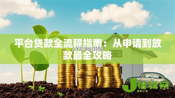 平台贷款全流程指南:从申请到放款最全攻略 平台贷款全流程指南:从申请到放款最全攻略
