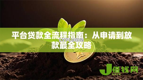 平台贷款全流程指南:从申请到放款最全攻略 平台贷款全流程指南:从申请到放款最全攻略