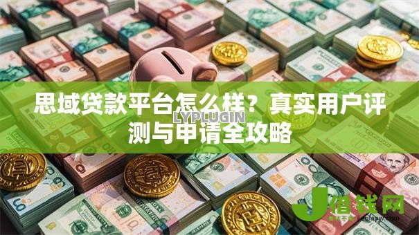 思域贷款平台怎么样？真实用户评测与申请全攻略