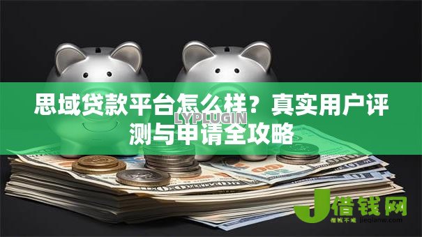 思域贷款平台怎么样？真实用户评测与申请全攻略