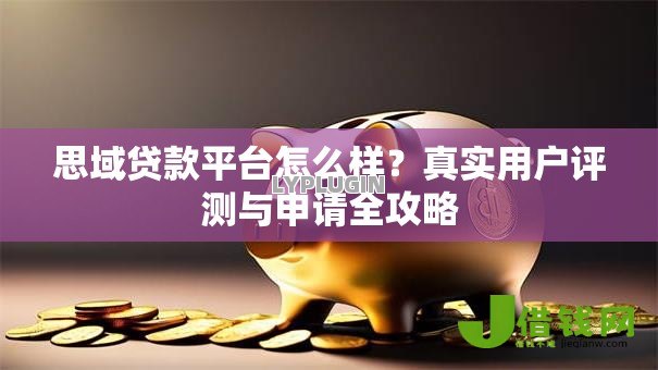 思域贷款平台怎么样？真实用户评测与申请全攻略