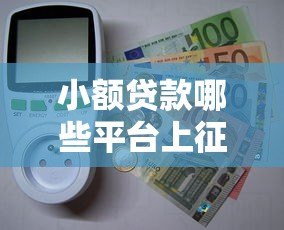 小额贷款哪些平台上征信？这10个平台必须知道