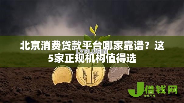 北京消费贷款平台哪家靠谱？这5家正规机构值得选